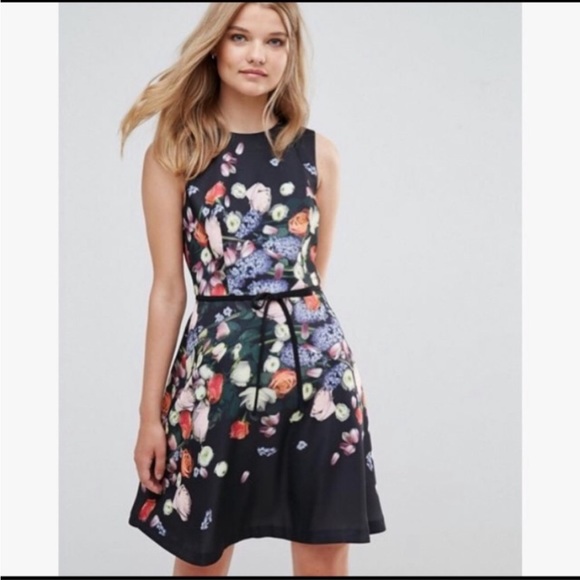 Ted Baker London Dresses & Skirts - Ted Baker Izobela Kensington Floral Dress, Size 0